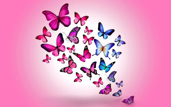 Бабочки 3D