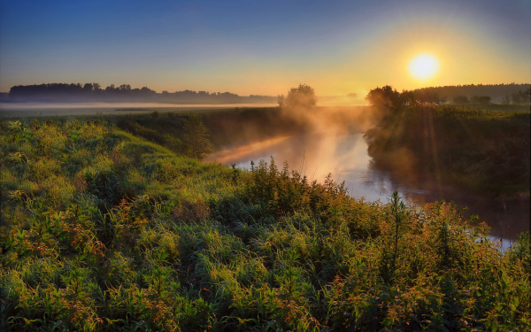 Река туман солнце утро