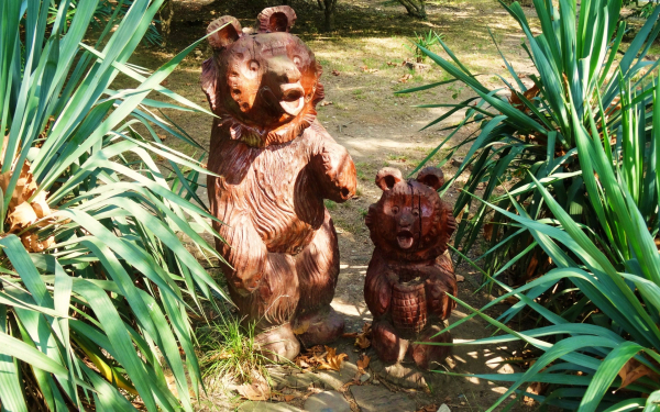 Медведи в парке Ривьера в Сочи