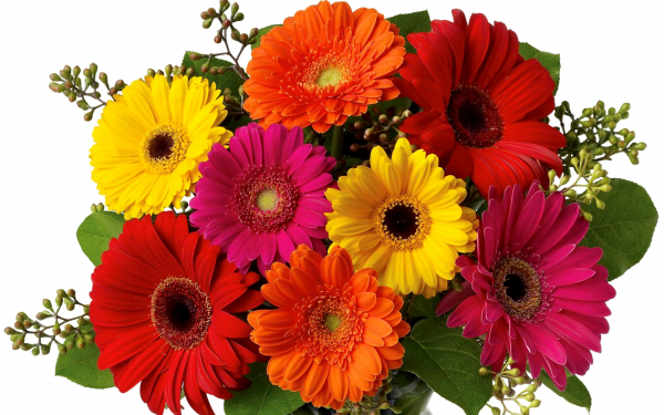 Поздравляем Олесю с 3 годиками! (мама - ale83) - Страница 4 Kartinki24_ru_bouguets_of_flowers_100