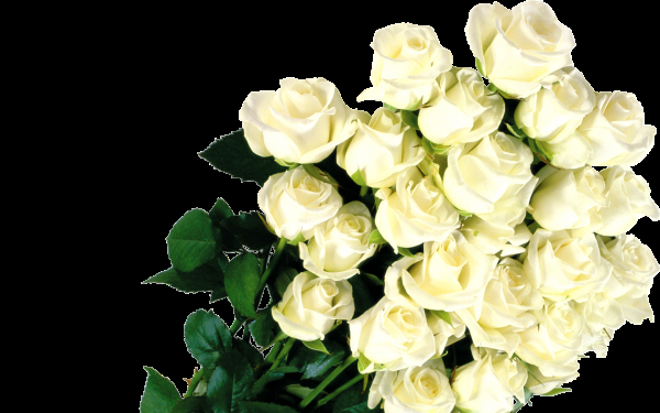 Белые розы в букете