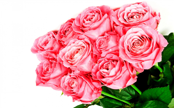 Розы в розовом букете