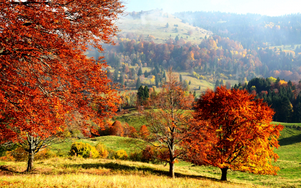 Осень на холмах