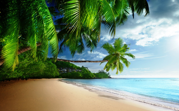 Пляж под пальмами