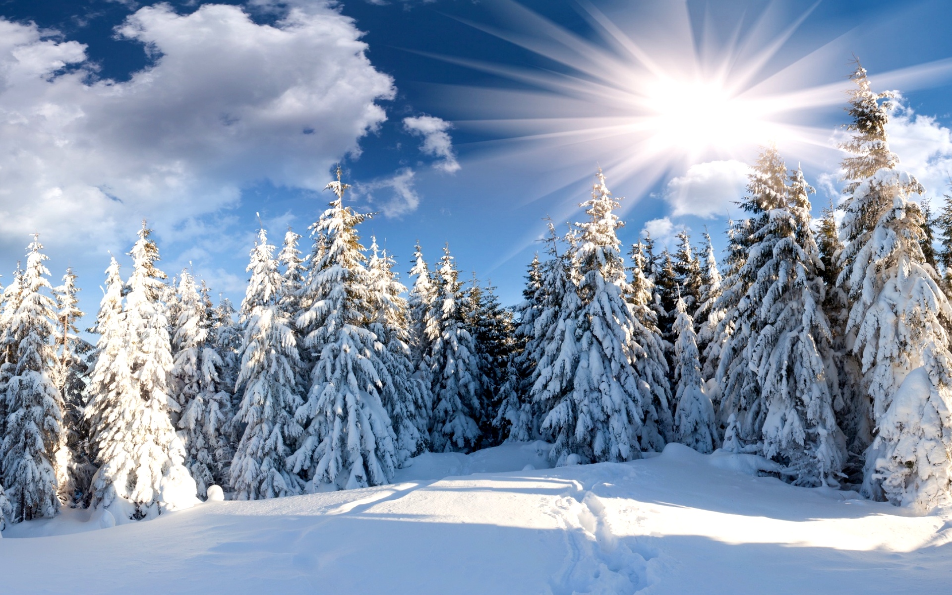 Ð¡Ð¼Ð¾ÑÑÐµÑÑ Ð¸ÑÑÐ¾Ð´Ð½Ð¾Ðµ Ð¸Ð·Ð¾Ð±ÑÐ°Ð¶ÐµÐ½Ð¸Ðµ