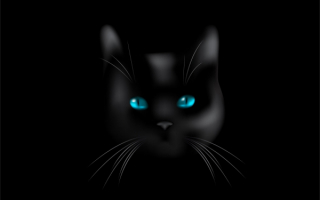 Черный кот 3d