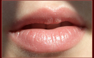 Приятные губы