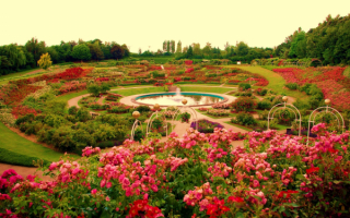Красивый парк с розарием