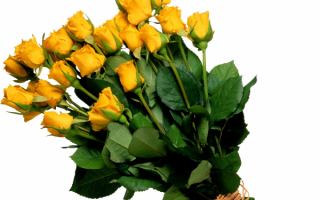 Желтые розы в букете