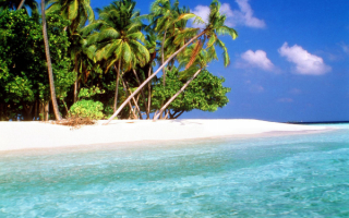 Мальдивы пальмы на пляже