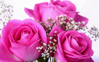 8 Марта  весна  праздник розы