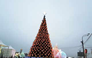 Новогодняя елка в парке Победы