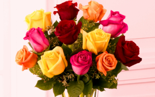 Разноцветные розы в букете