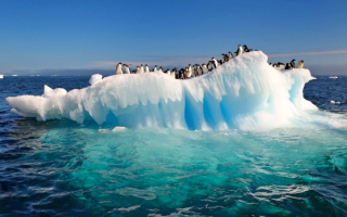 Пингвины на айсберге в океане