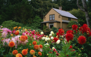 Дом в цветнике