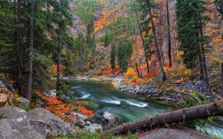 Осень у горной речке
