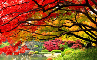 Осень в Японии