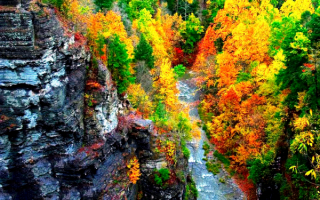 Осень в речном каньоне