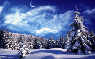 Луна над зимним лесом