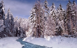 Студеный ручей в зимнем лесу