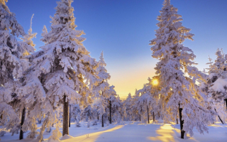 Картинка зимней природы