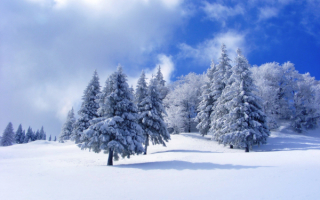 Зима в снегу природа