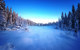 Зима поляна снег лес