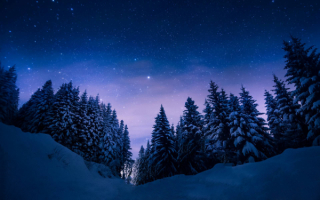 Зимняя звездная ночь