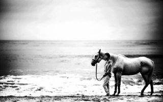 Девушка и лошадь