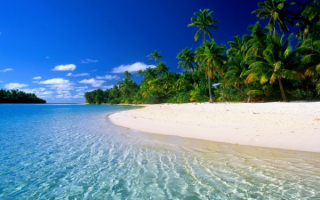 Море пальмы пляж