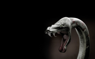 Змея показала зубы