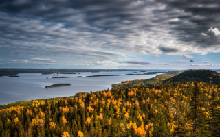 Осень в национальном парке Коли в Финляндии