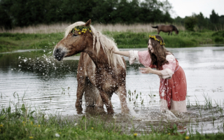 Девушка купает лошадь в речке