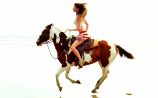 Девушка на пегой лошади