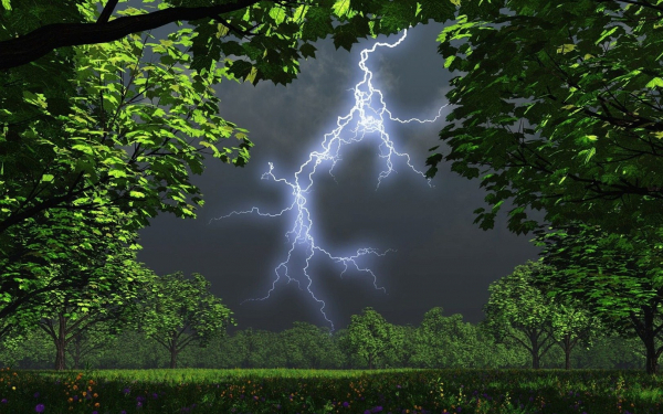 Гроза в лесу 3d