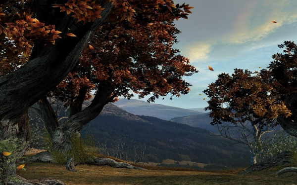 Осенний лес 3d