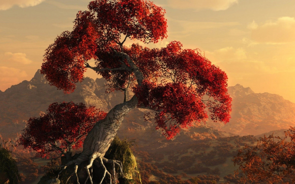 3d дерево на скале