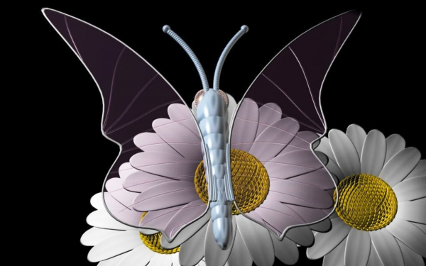 Бабочка на ромашке