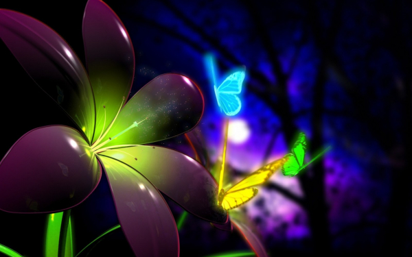 Цветок и бабочки