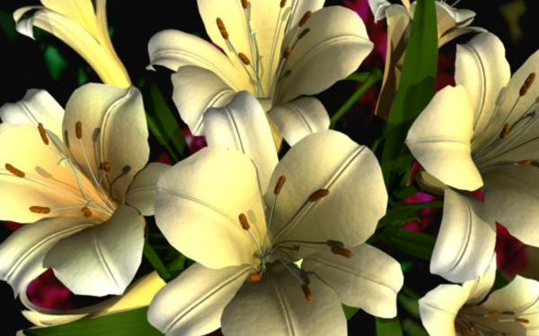 Белые лилии