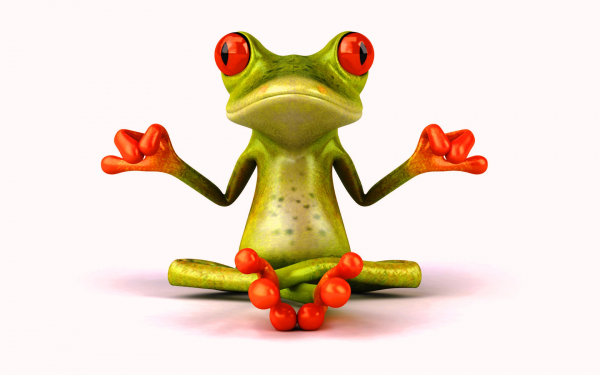 Лягушка йог