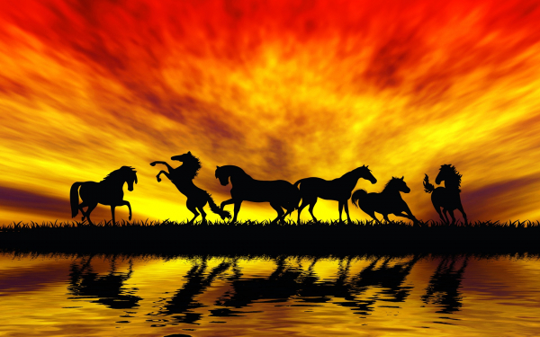 3D лошади на закате