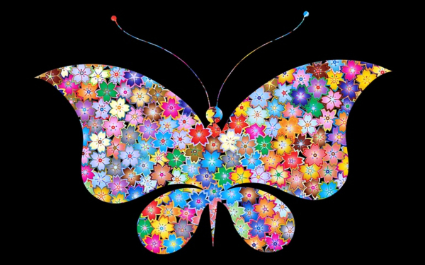 3d бабочка