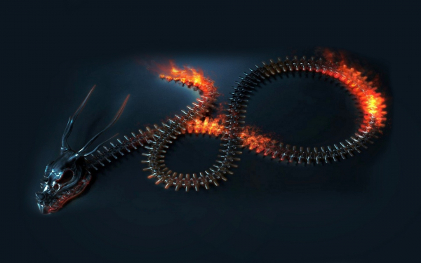 3d скелет дракона