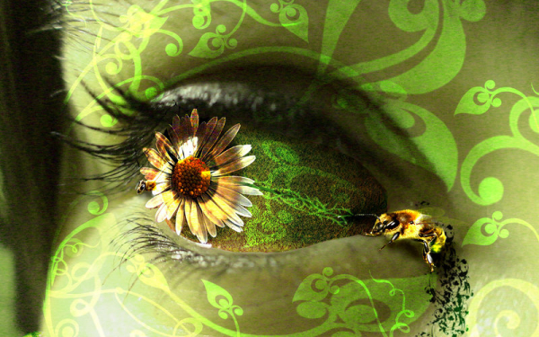 Цветок в глазу