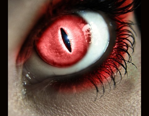 Животный взгляд