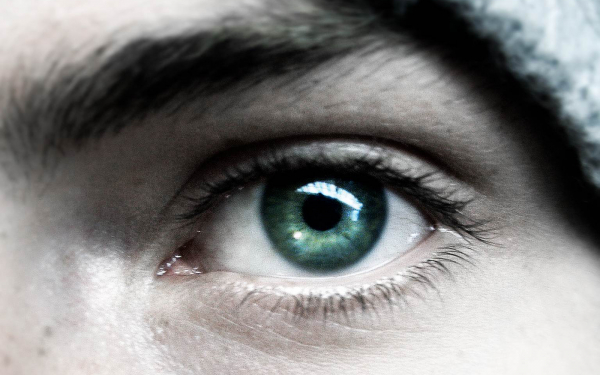Глаз человека