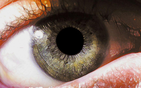 Мужской серый глаз