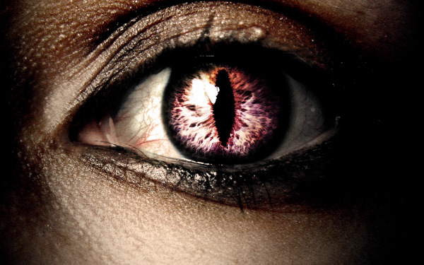 Кошачий вгляд