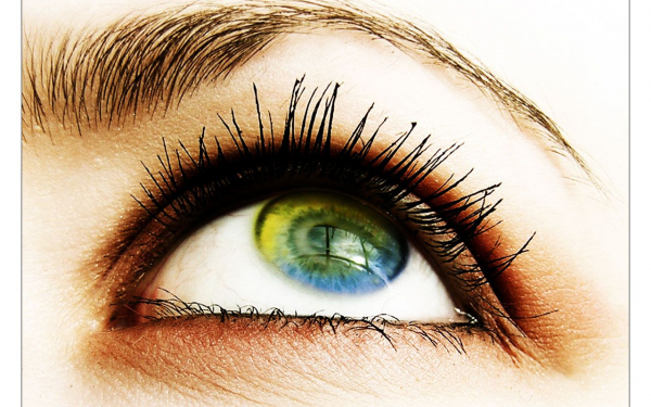 Взгляд в высоту